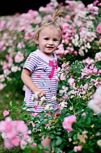Dziewczynka stojąca wsród róż w podmiejskim parku.